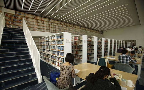 看完這些天津人的好消息，長假回來也開心了——聚焦信息技術(shù)咨詢服務(wù)新機(jī)遇